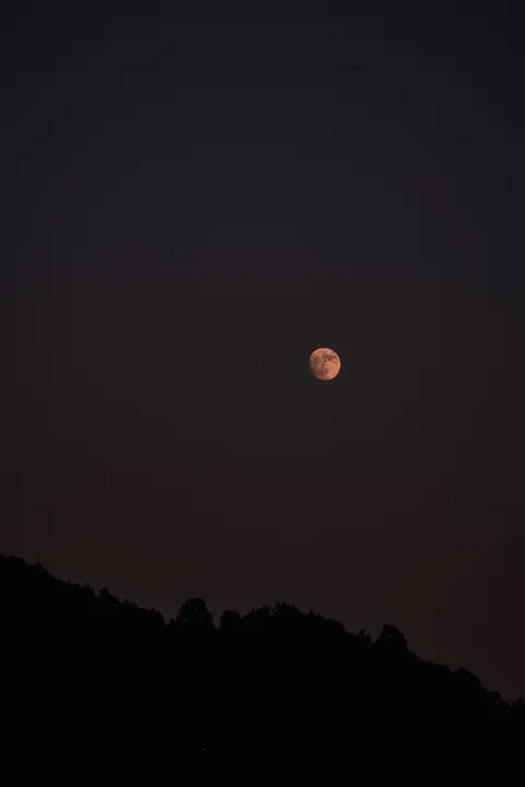 Full Moon Phone Wallpaper · moon · 1440×2160
