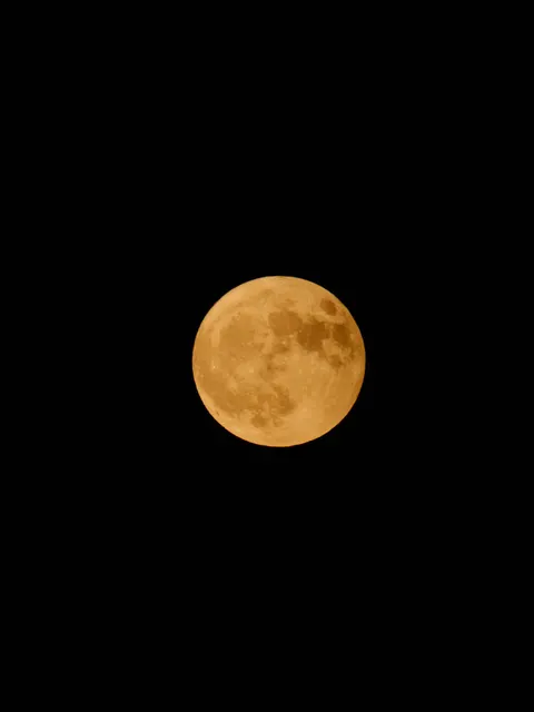 Full Moon Phone Wallpaper · moon · 1440×1919