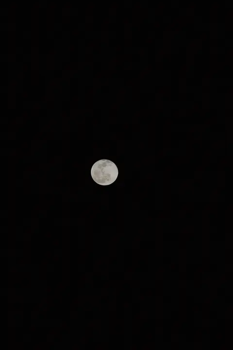 Full Moon Phone Wallpaper · moon · 1440×2160