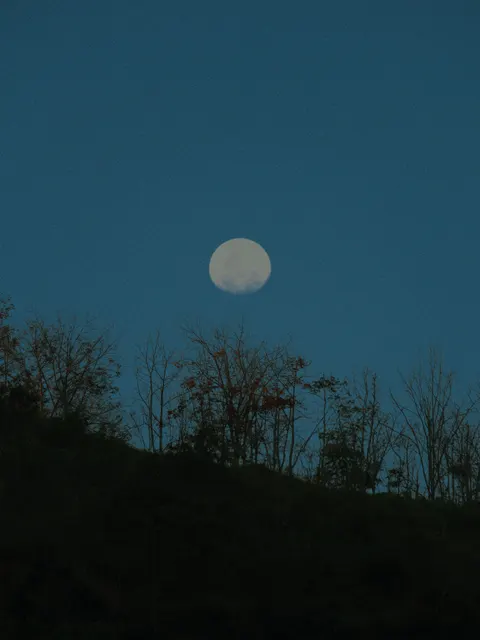 Full Moon Phone Wallpaper · moon · 1440×1919