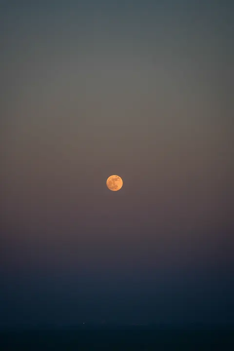Full Moon Phone Wallpaper · moon · 1440×2160