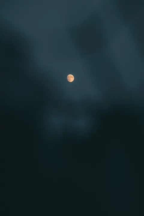 Full Moon Phone Wallpaper · moon · 1440×2160