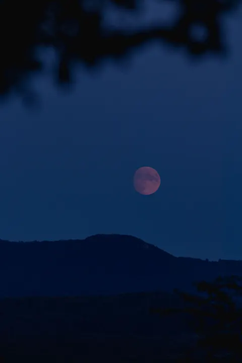 Full Moon Phone Wallpaper · moon · 1440×2160