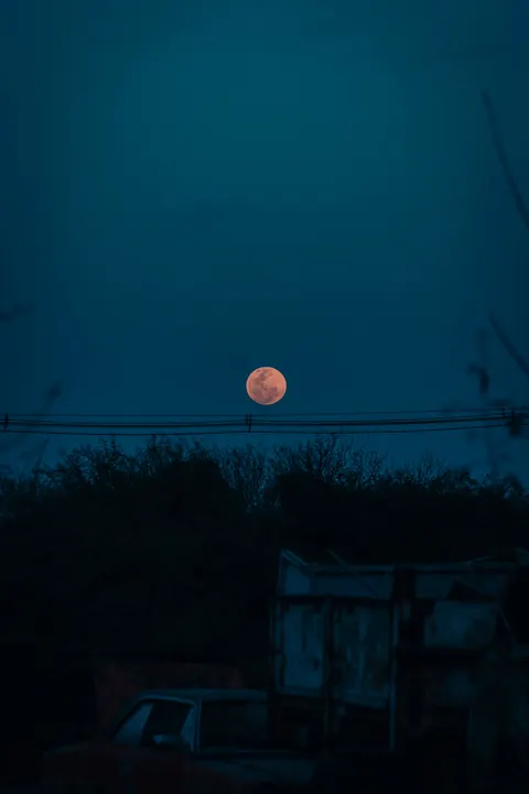 Full Moon Phone Wallpaper · moon · 1440×2164