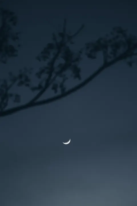 Crescent Moon Phone Wallpaper · moon · 1440×2160