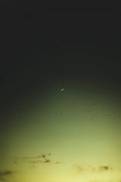 Crescent Moon Phone Wallpaper · moon · 1440×2160