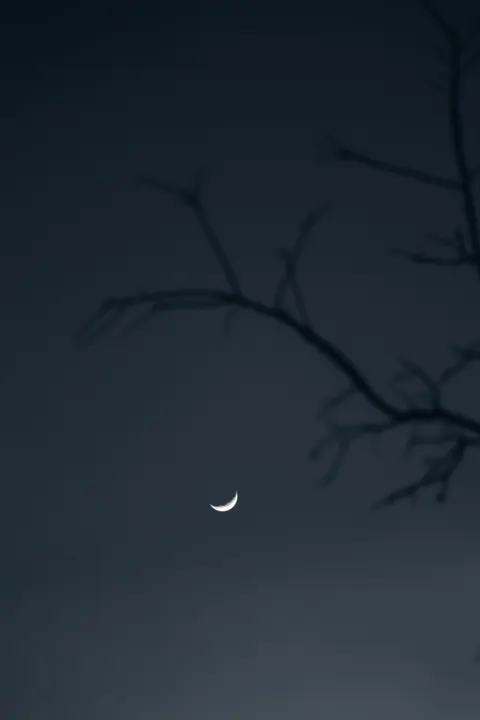 Crescent Moon Phone Wallpaper · moon · 1440×2160
