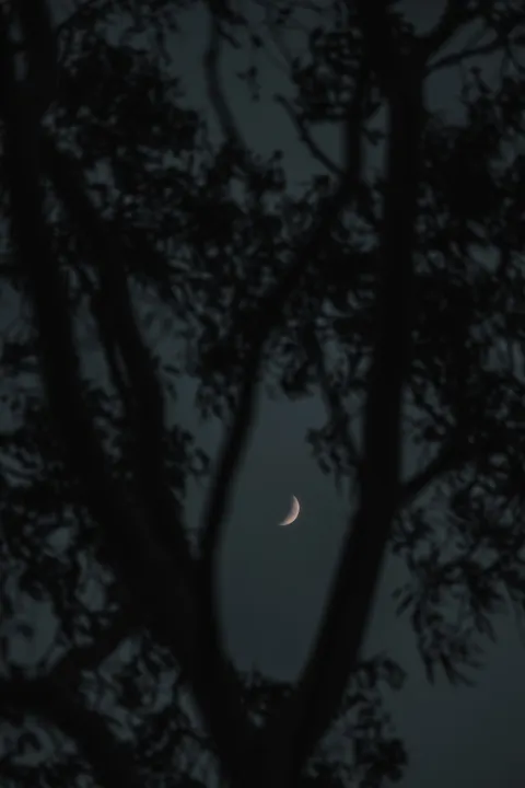 Crescent Moon Phone Wallpaper · moon · 1440×2160