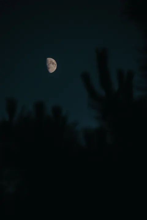 Crescent Moon Phone Wallpaper · moon · 1440×2160