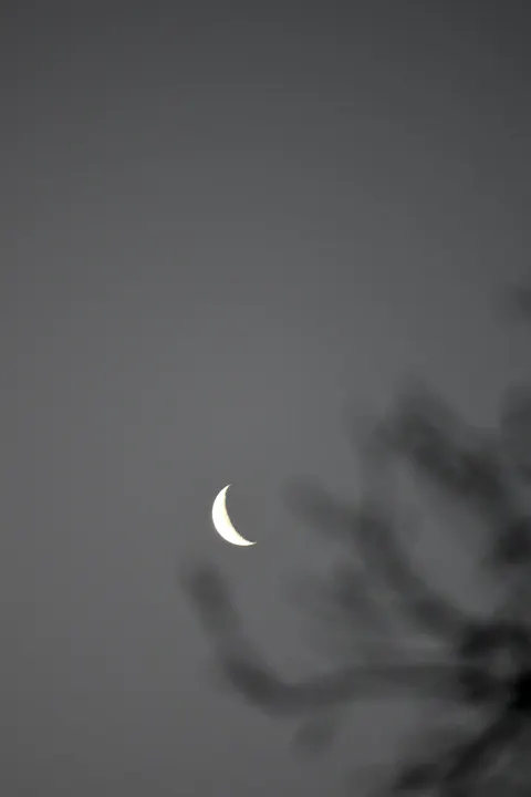 Crescent Moon Phone Wallpaper · moon · 1440×2160
