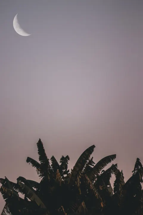 Crescent Moon Phone Wallpaper · moon · 1440×2160