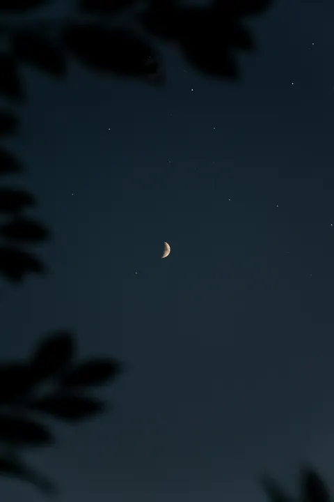 Crescent Moon Phone Wallpaper · moon · 1440×2160