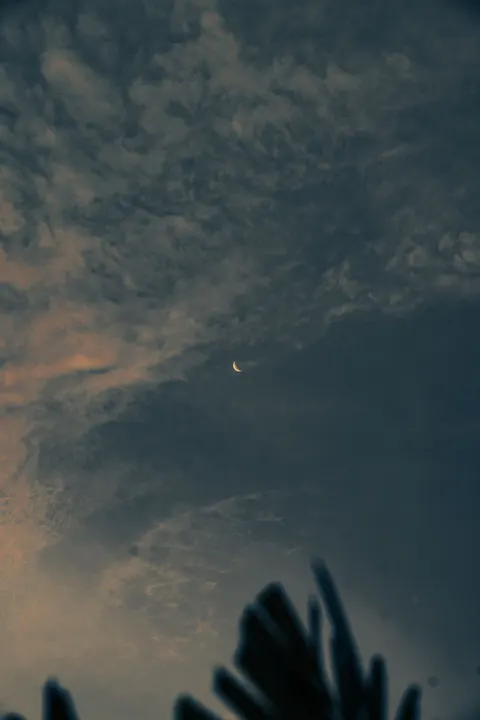 Crescent Moon Phone Wallpaper · moon · 1440×2160