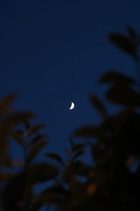 Crescent Moon Phone Wallpaper · moon · 1440×2160