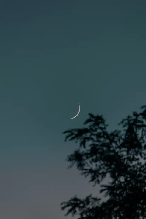 Crescent Moon Phone Wallpaper · moon · 1440×2160