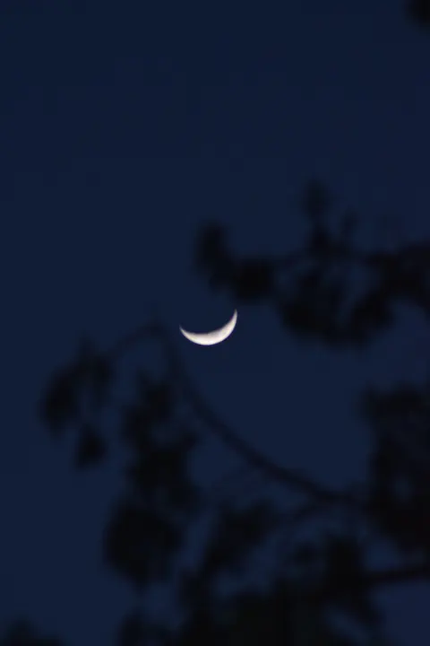 Crescent Moon Phone Wallpaper · moon · 1440×2160