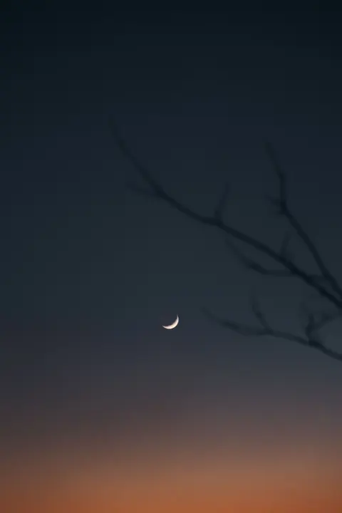 Crescent Moon Phone Wallpaper · moon · 1440×2160