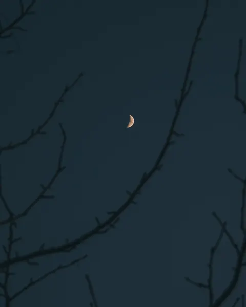 Crescent Moon Phone Wallpaper · moon · 1440×1800
