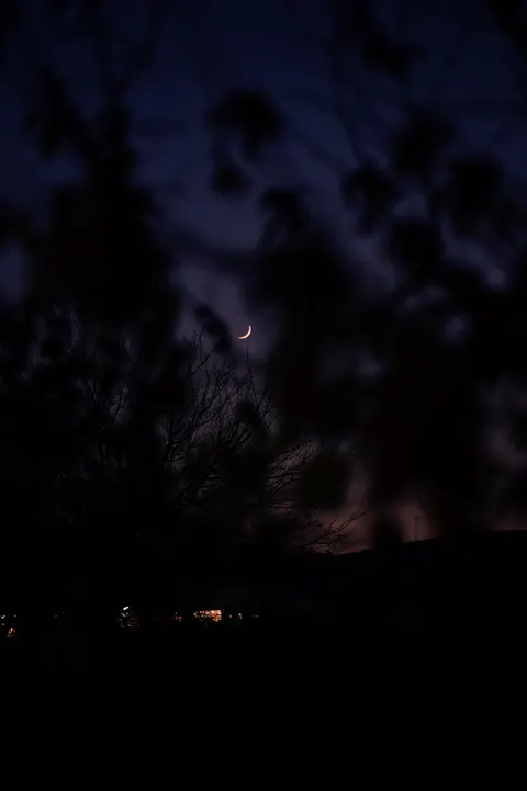Crescent Moon Phone Wallpaper · moon · 1440×2164