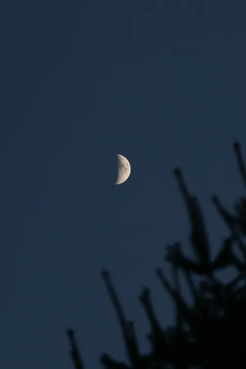 Crescent Moon Phone Wallpaper · moon · 1440×2160