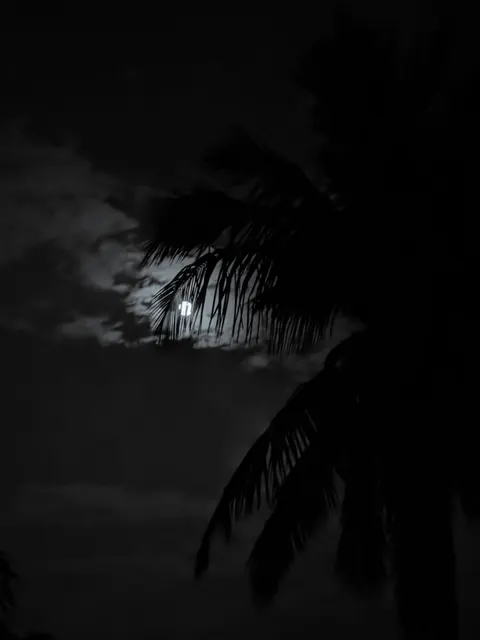 Moon Clouds Phone Wallpaper · moon · 1440×1920