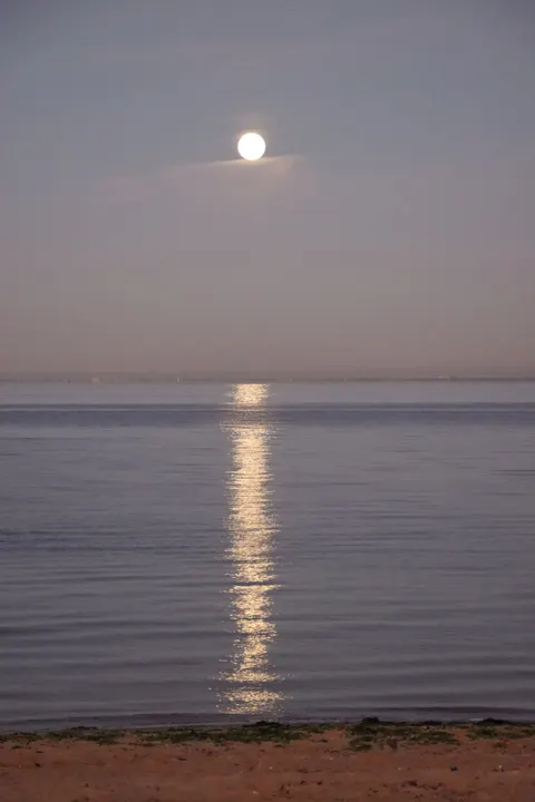 Moonlight Water Phone Wallpaper · moon · 1440×2160