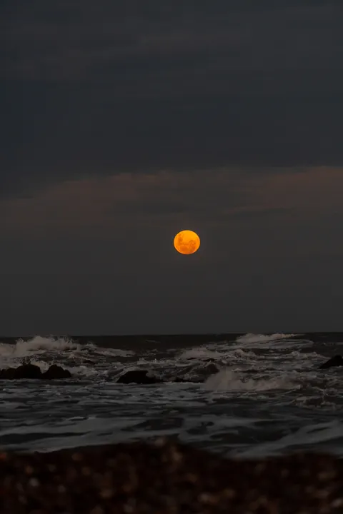 Moonlight Water Phone Wallpaper · moon · 1440×2160