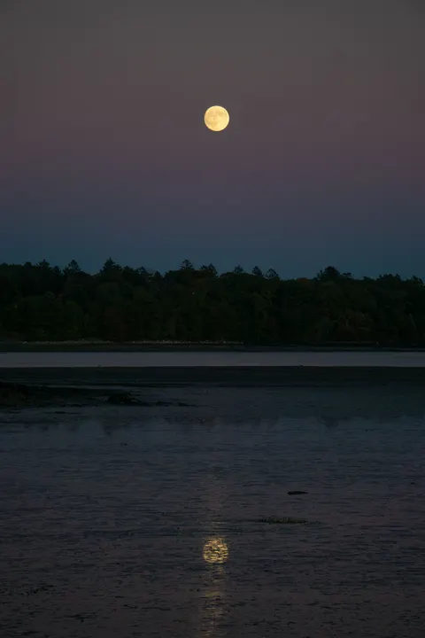Moonlight Water Phone Wallpaper · moon · 1440×2160