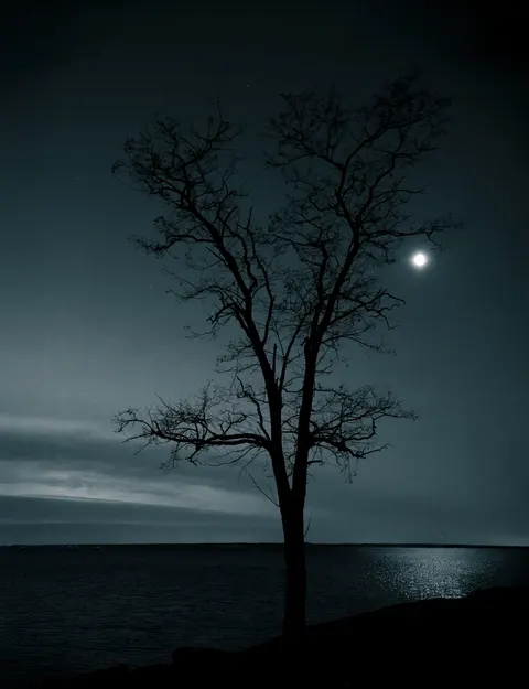 Moonlight Water Phone Wallpaper · moon · 1440×1876