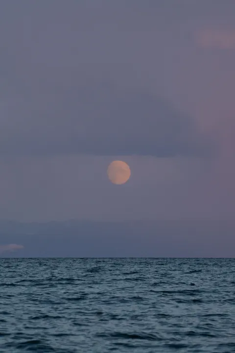 Acqua al Chiaro di Luna Sfondo per Telefono · moon · 1440×2160