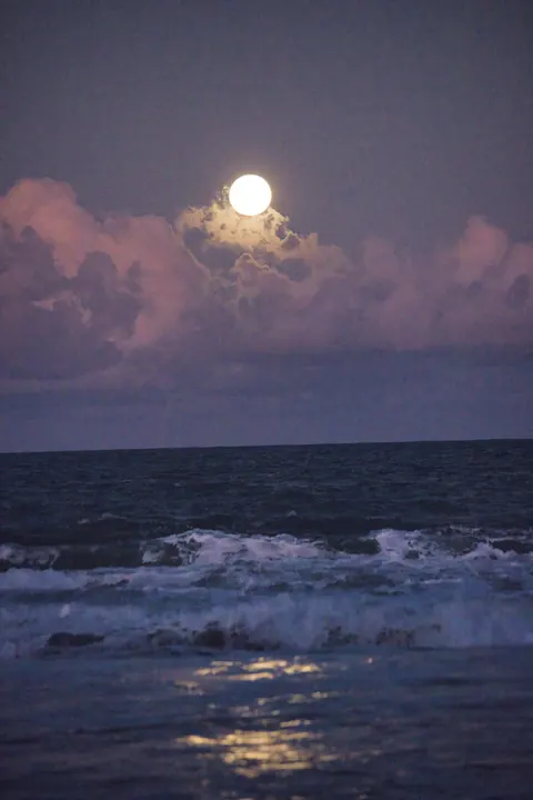 Moonlight Water Phone Wallpaper · moon · 1440×2159
