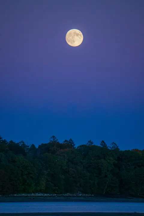 Moonlight Water Phone Wallpaper · moon · 1440×2160