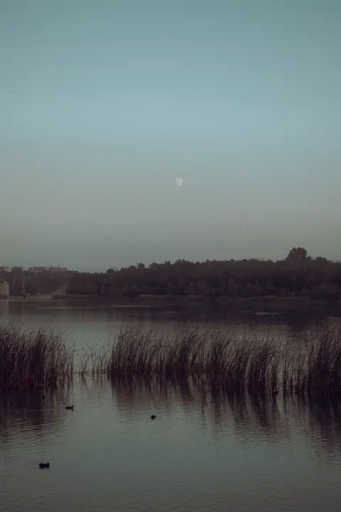 Moonlight Water Phone Wallpaper · moon · 1440×2160