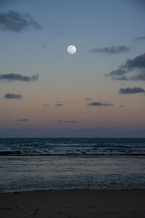 Moonlight Water Phone Wallpaper · moon · 1440×2160