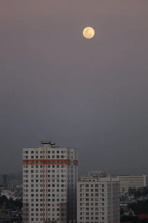 Moonlight Water Phone Wallpaper · moon · 1440×2160