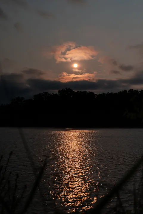 Moonlight Water Phone Wallpaper · moon · 1440×2157