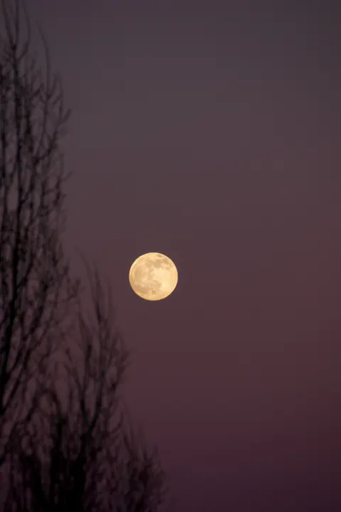 Full Moon Phone Wallpaper · moon · 1440×2160