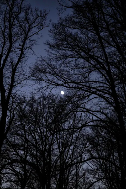 Full Moon Phone Wallpaper · moon · 1440×2160