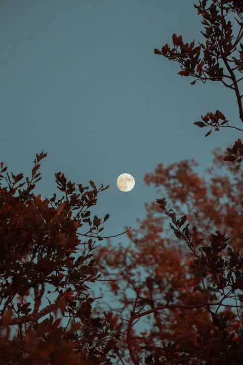 Pełnia księżyca Tapeta na Telefon · moon · 1440×2160