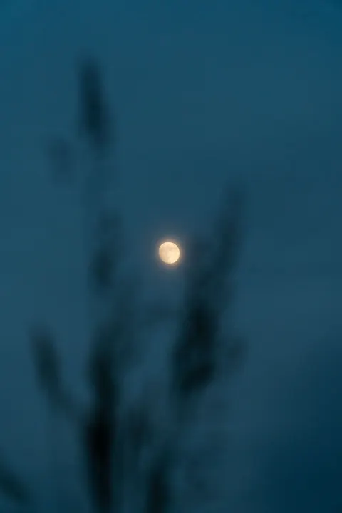 Full Moon Phone Wallpaper · moon · 1440×2160