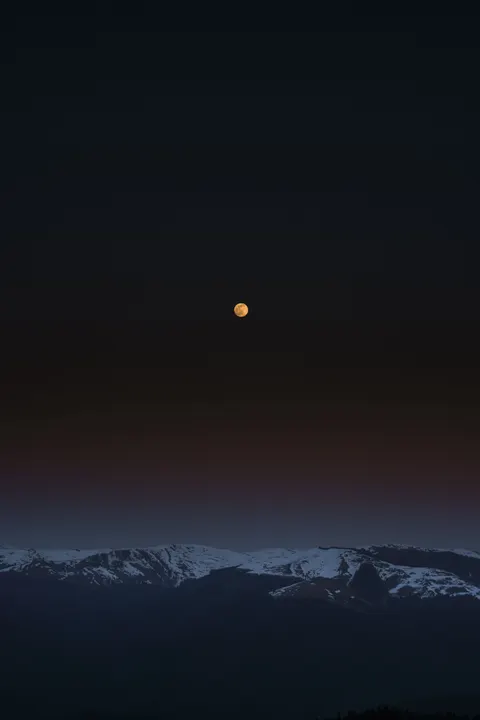 Full Moon Phone Wallpaper · moon · 1440×2160