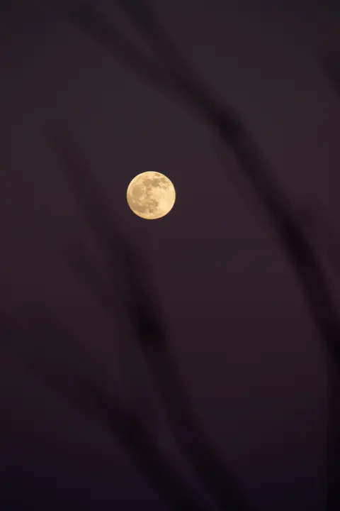 Full Moon Phone Wallpaper · moon · 1440×2160
