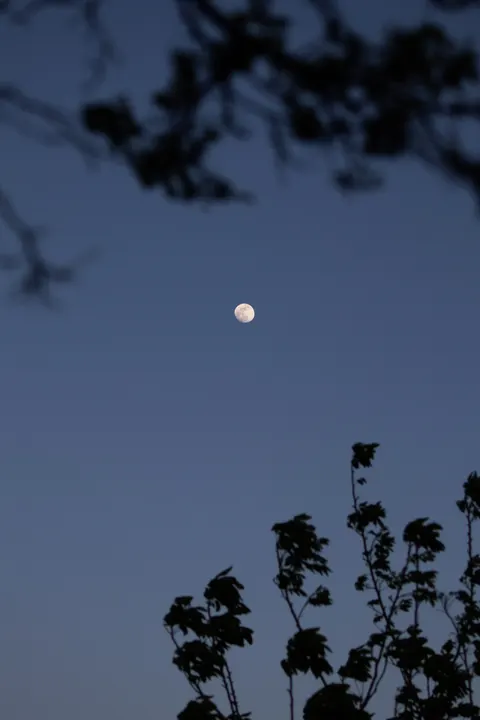 Full Moon Phone Wallpaper · moon · 1440×2160