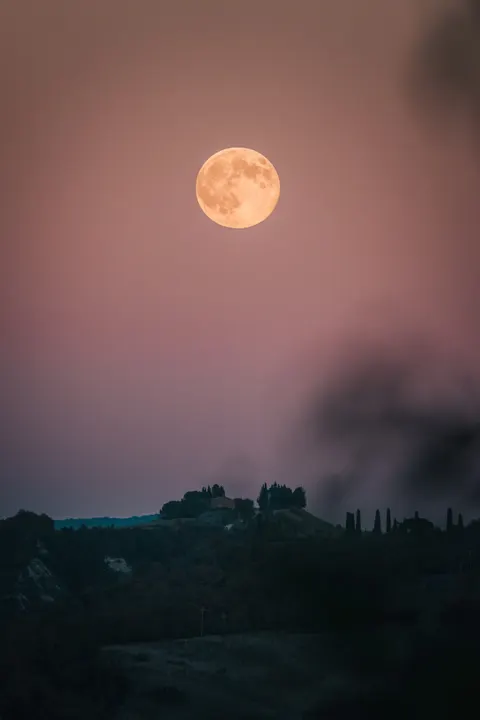 Full Moon Phone Wallpaper · moon · 1440×2160