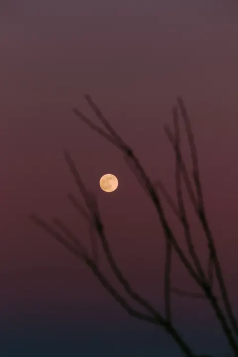 Full Moon Phone Wallpaper · moon · 1440×2160