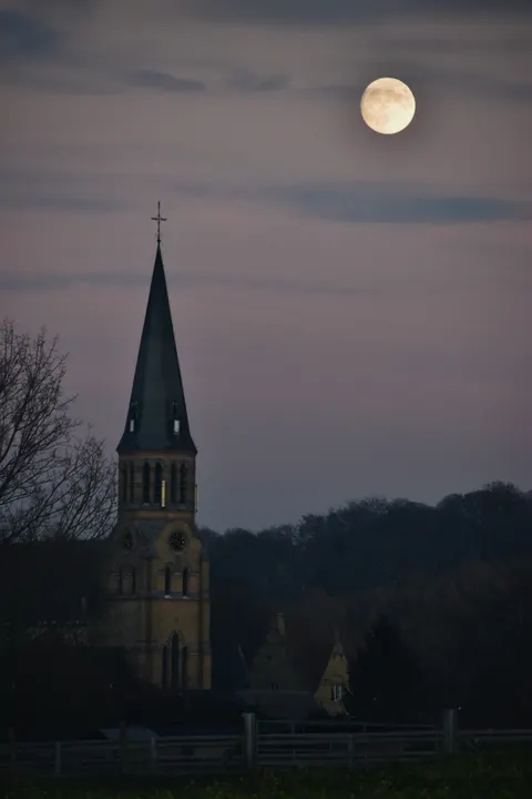 Full Moon Phone Wallpaper · moon · 1440×2160