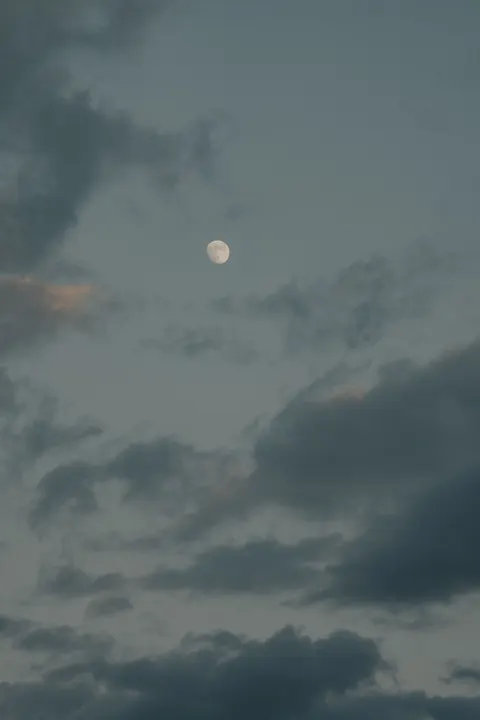 Full Moon Phone Wallpaper · moon · 1440×2160
