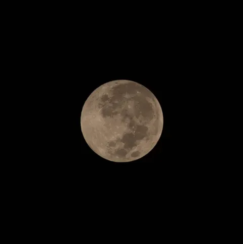 Full Moon Phone Wallpaper · moon · 1440×1445