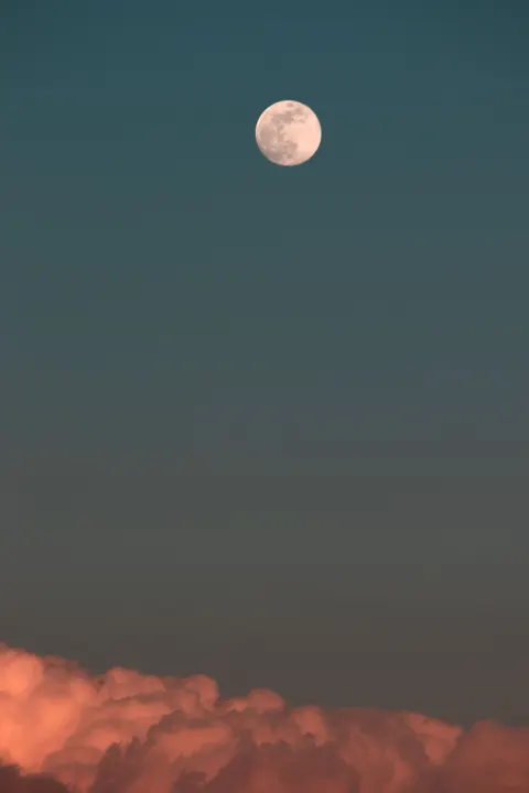 Full Moon Phone Wallpaper · moon · 1440×2160