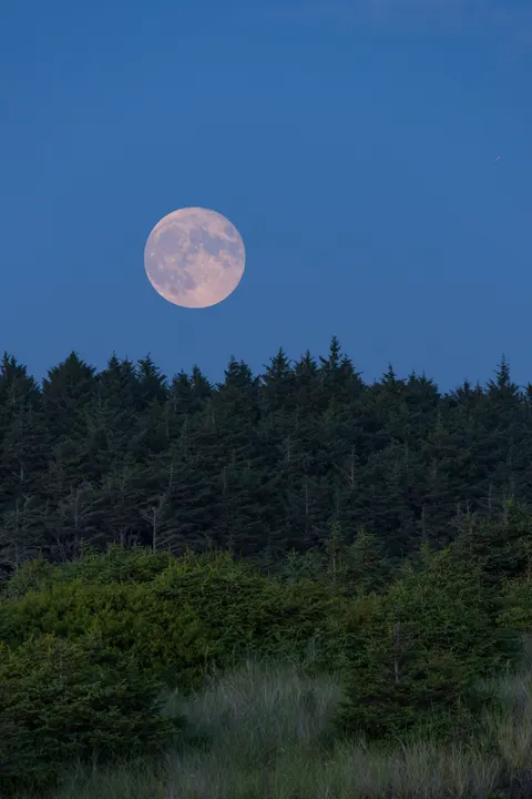 Full Moon Phone Wallpaper · moon · 1440×2160